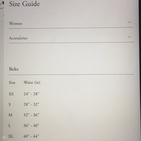 COACH HORSE & CARRIAGE BUCKLE BELT (25MM) (NWT) - Picture 5 of 11